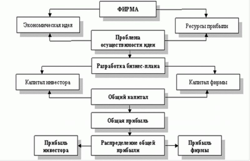 Нужно ли чистить кабачки от косточек? - Полезная